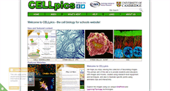 Desktop Screenshot of cellpics.cimr.cam.ac.uk